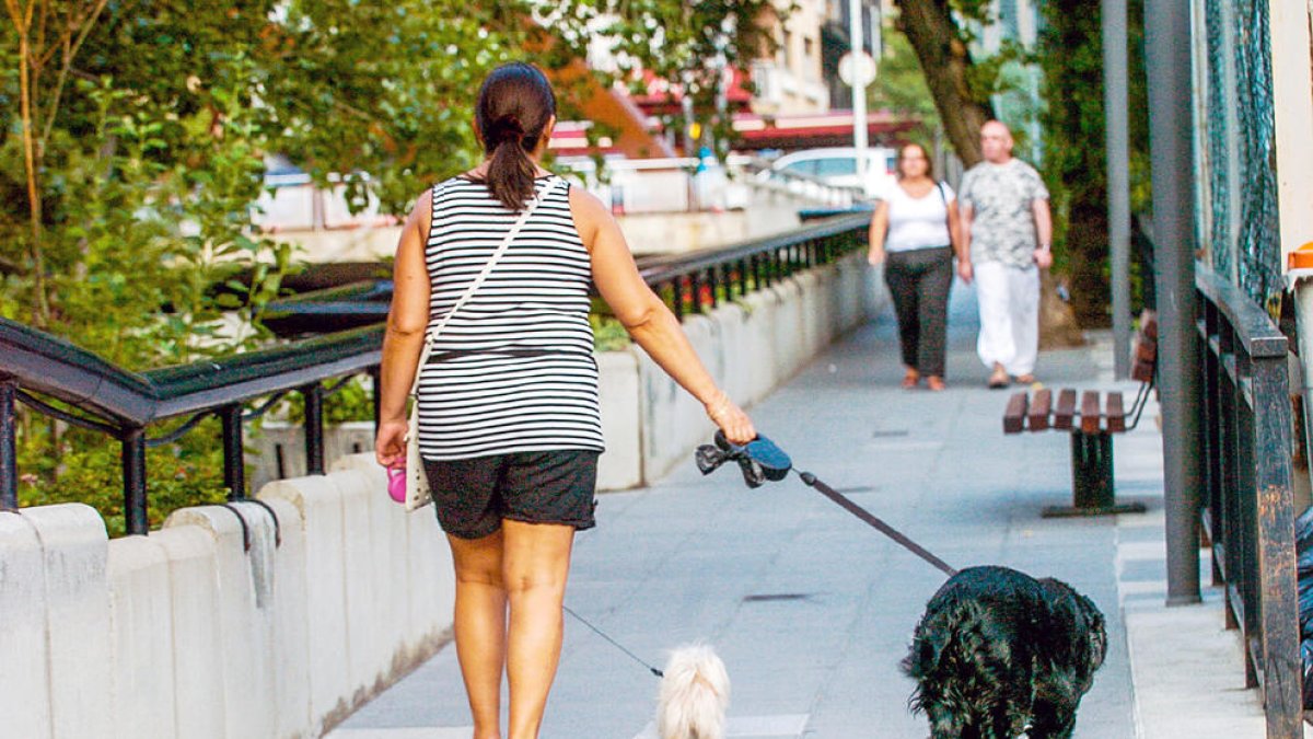 Els comuns cobraran una taxa per la tinença de gossos