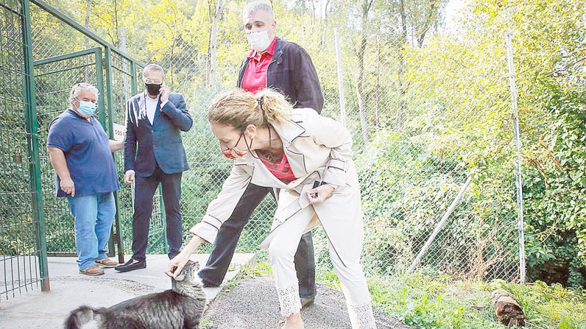 Apapma sosté que la taxa induirà a l'abandó de gossos