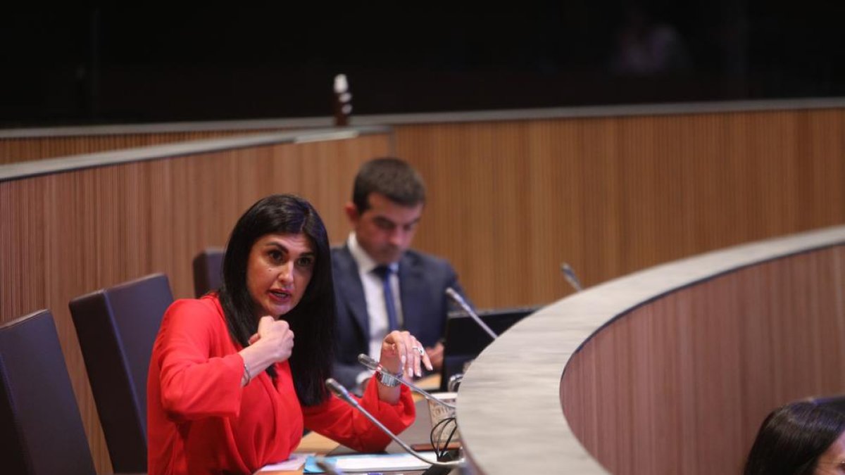 Carine Montaner en una intervenció al Consell General