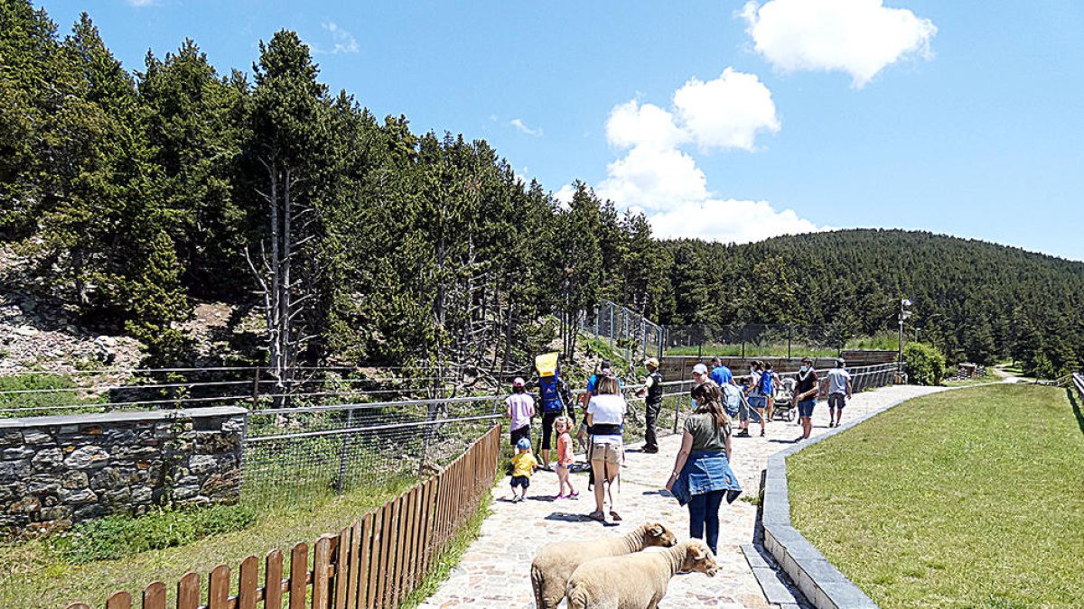 Naturlandia rep un 60% menys de visitants al juliol