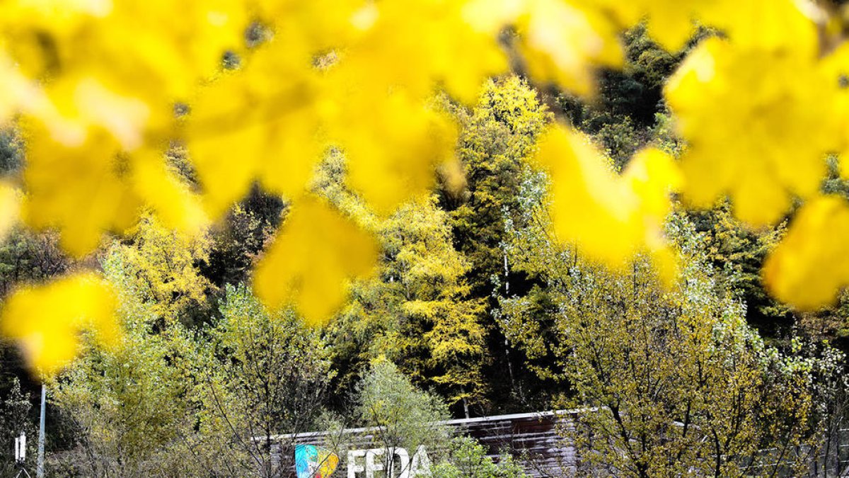 Els resultats de FEDA no es veuran afectats per la congelació dels preus