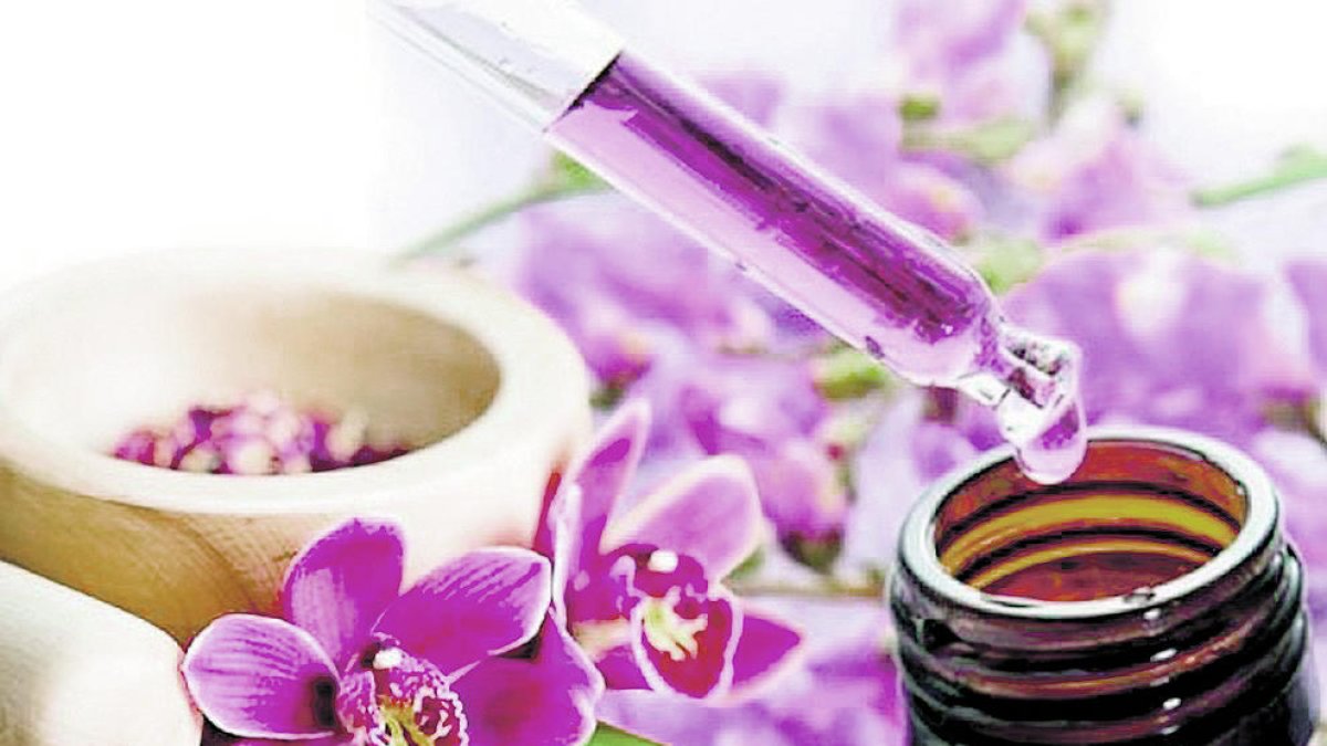 Xerrada Flors de Bach