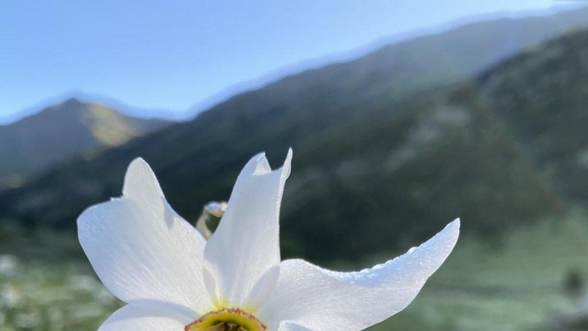 Ordino guardona Magali Blanckeman amb un sopar al refugi del parc