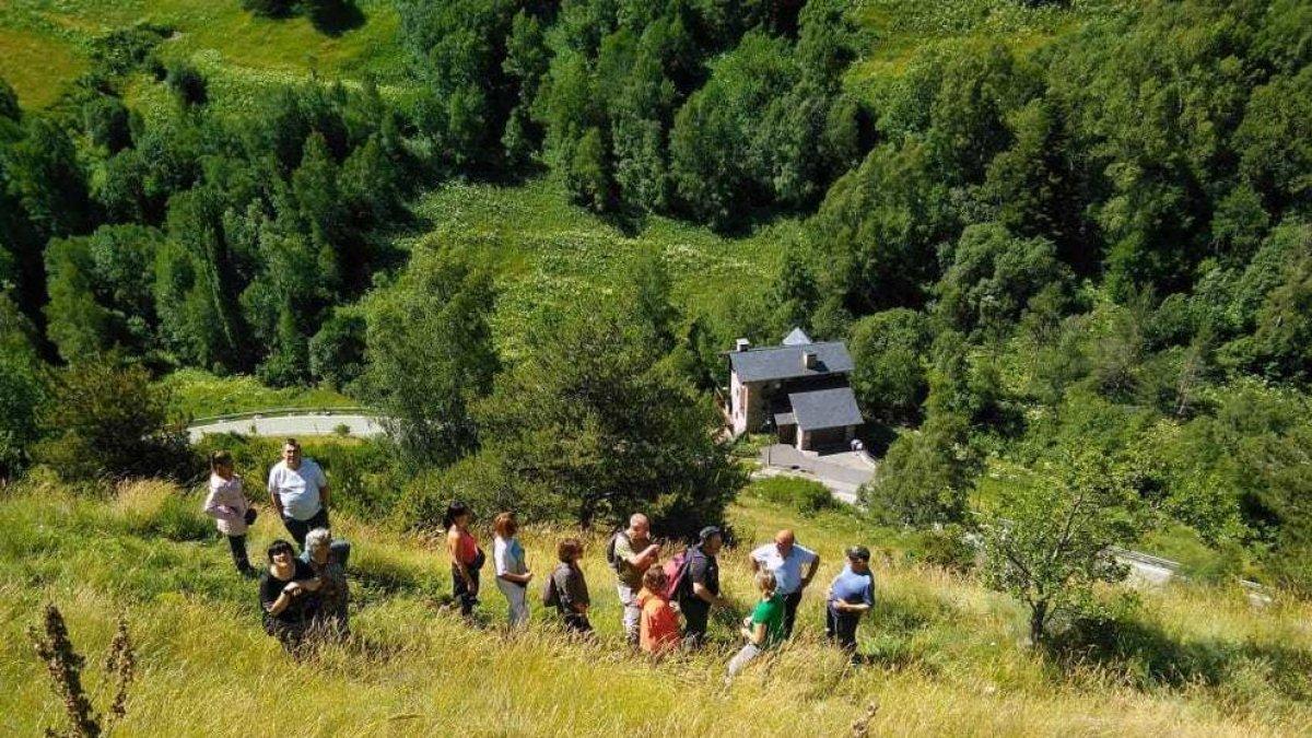 Exposició pública del cadastre rústic del quart de Pal