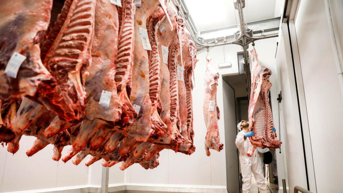 L'escorxador té danys estructurals per infiltracions d'aigua