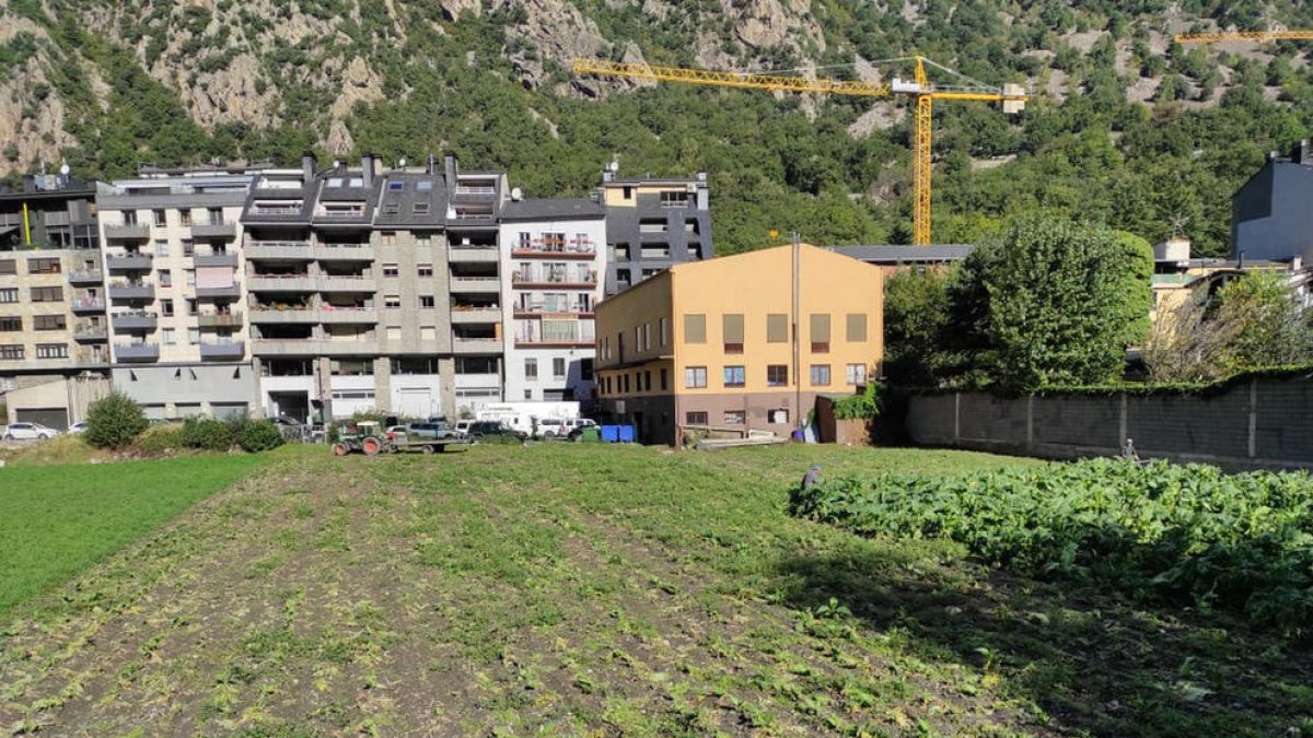 Els pagesos auguren la pèrdua del 50% de la collita