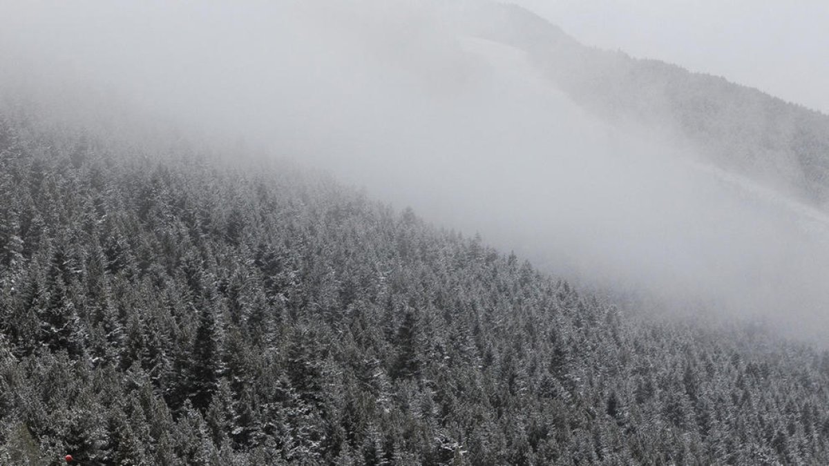 La candidatura per fer d'Andorra reserva de la biosfera, a punt el 2022