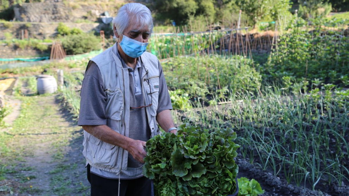 Els padrins dels horts solidaris
