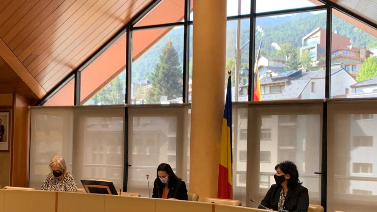 Consell de comú La Massana Olga Molné