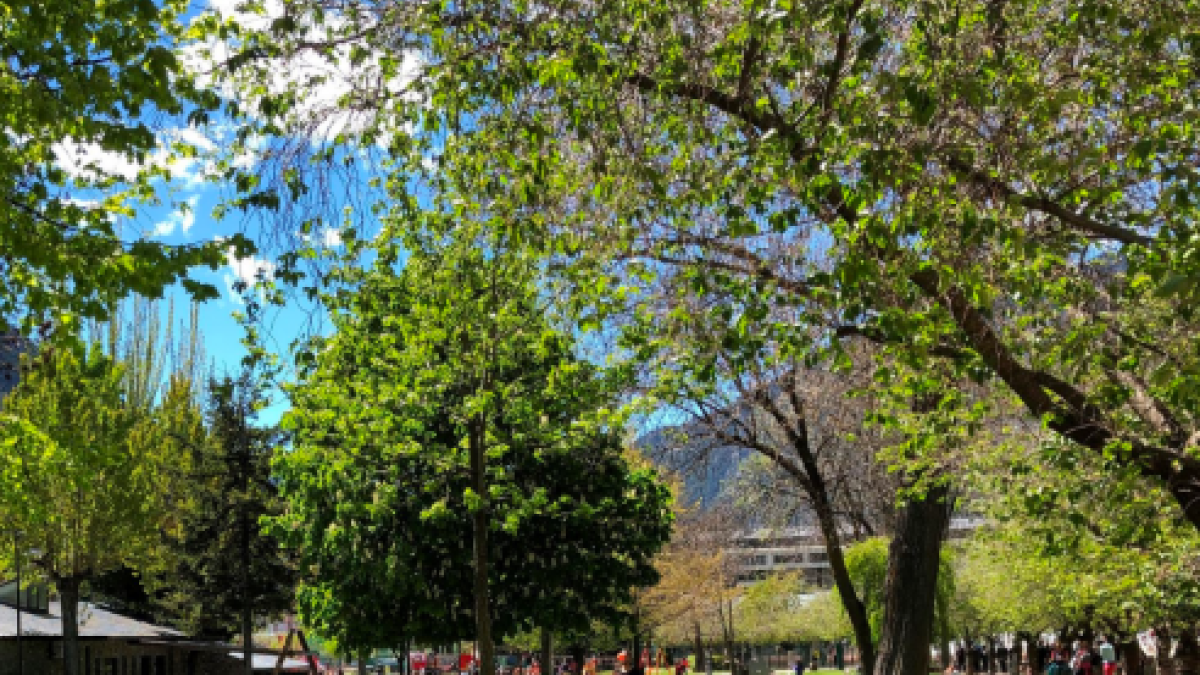 Visita guiada Andorra la Vella