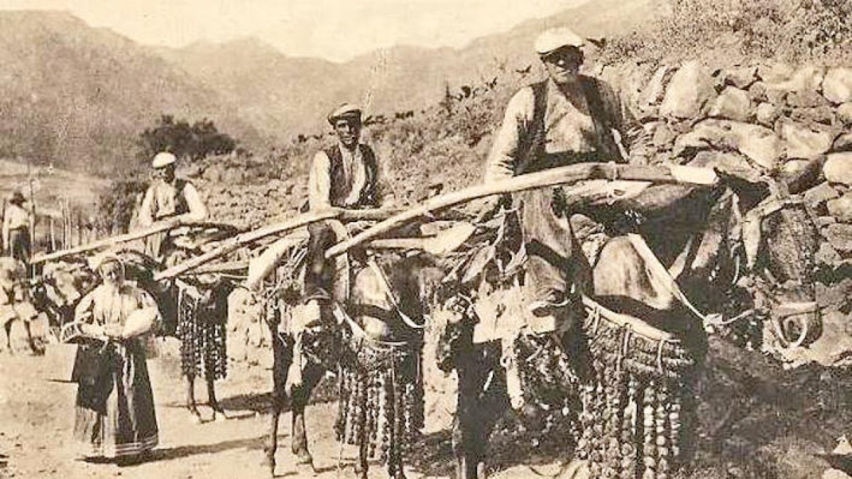 Aïllats per les fronteres