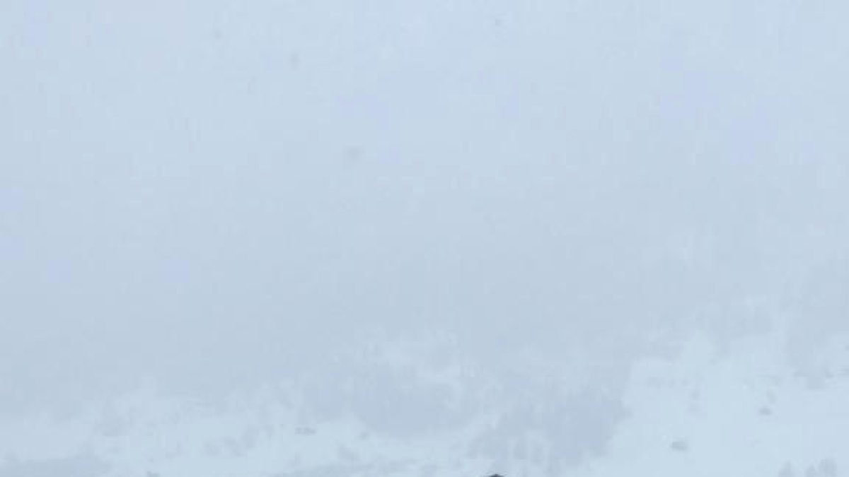 Irineu Esteve s'estrena amb un cinquè lloc