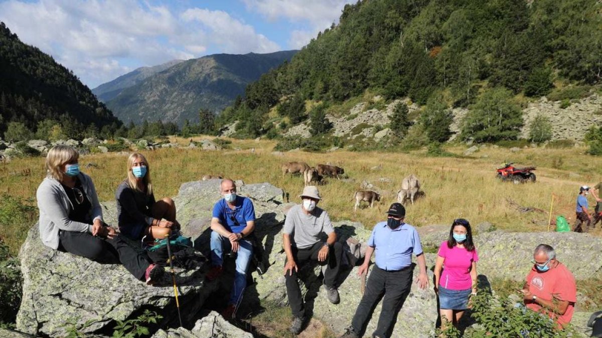 Benedicció del bestiar Ordino