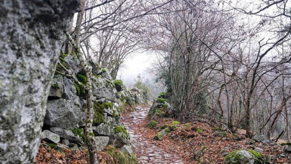 El concurs d'Instagram de la Setmana de la Pedra Seca rep 240 fotos