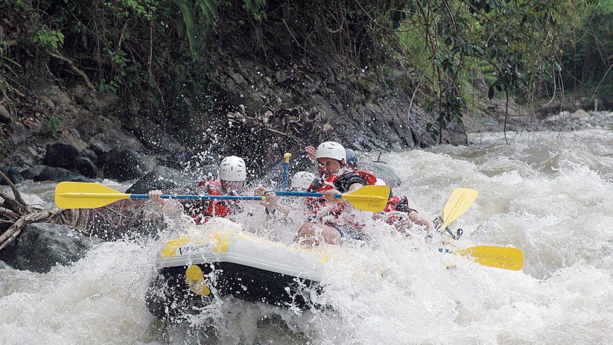 El que pots aprendre del riu