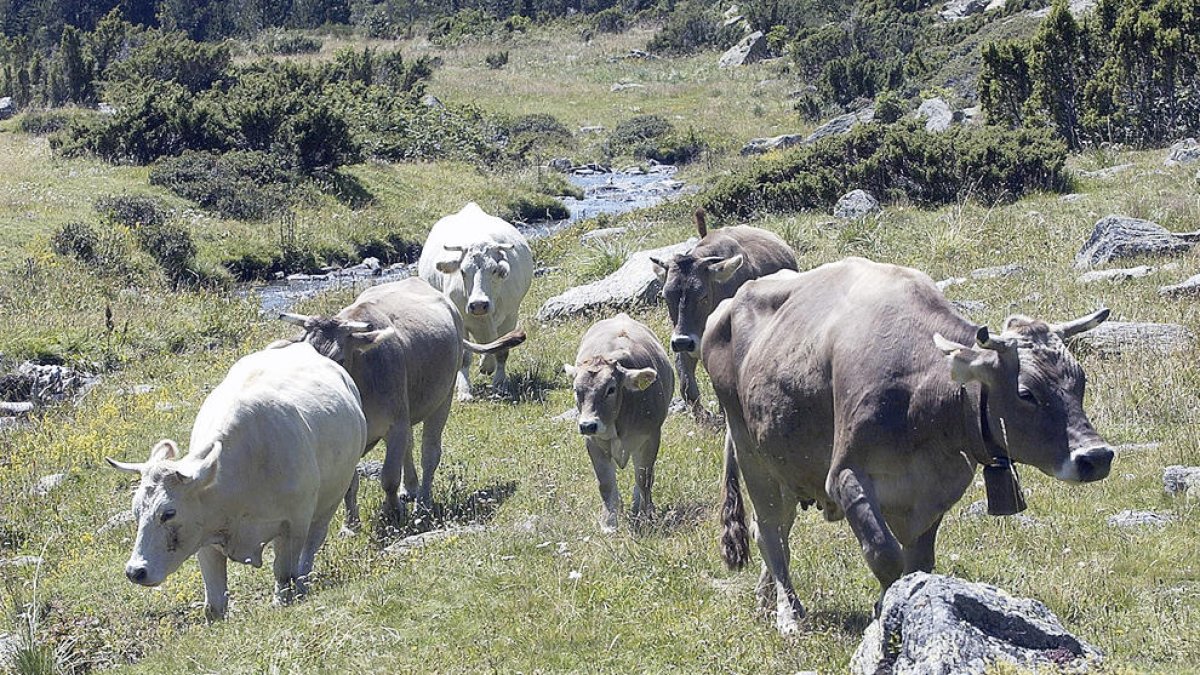 Preservar la flora i la fauna