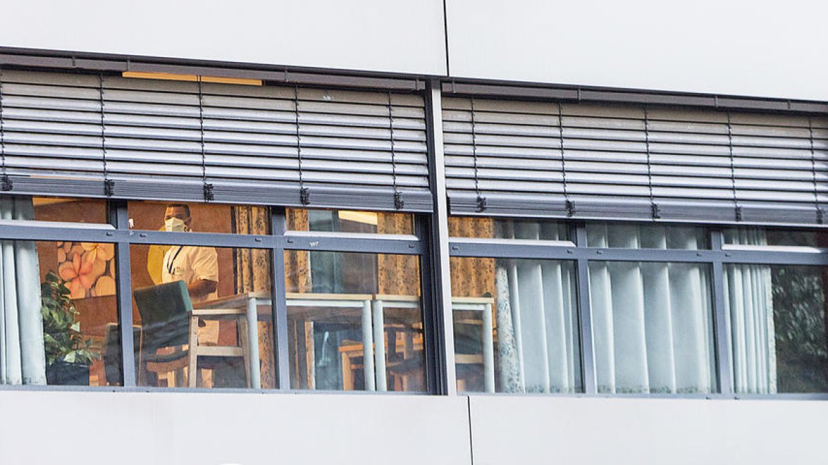 Dos auxiliars inicien el brot a El Cedre