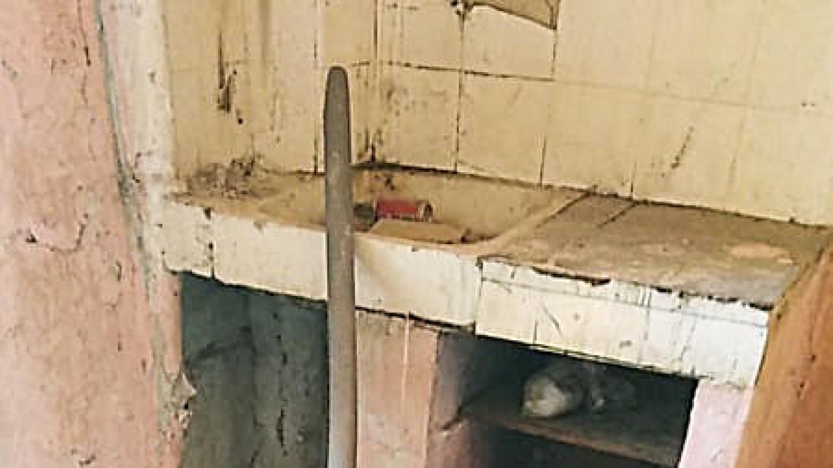 Ocupes per la Covid a la Seu d'Urgell