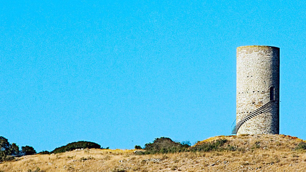 Mirant el pas dels temps