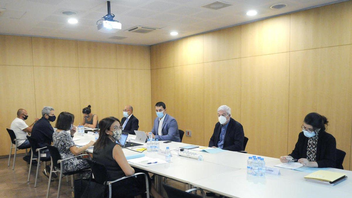 Consell Economic i Social