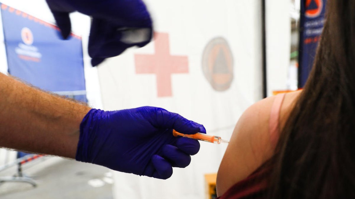 Vacunes Vacuna Vaccí