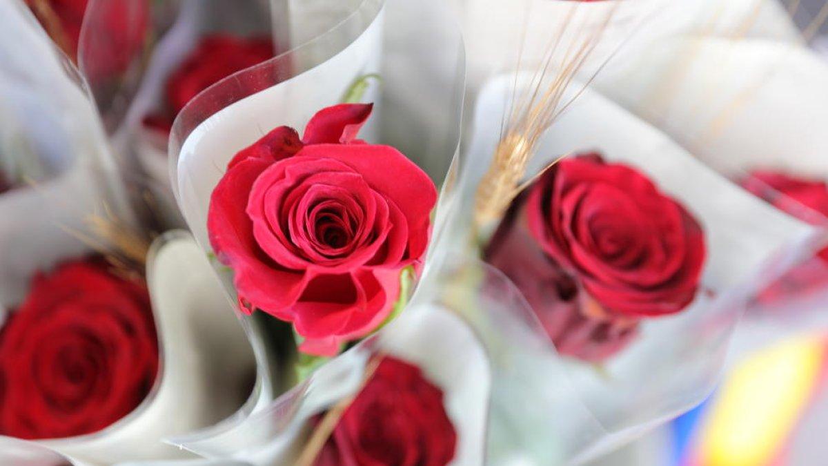 Sant Jordi