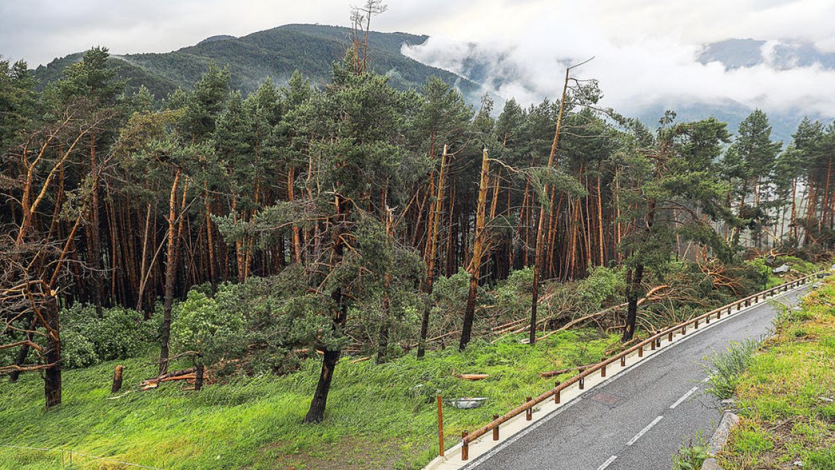 Tempesta de vent i aigua
