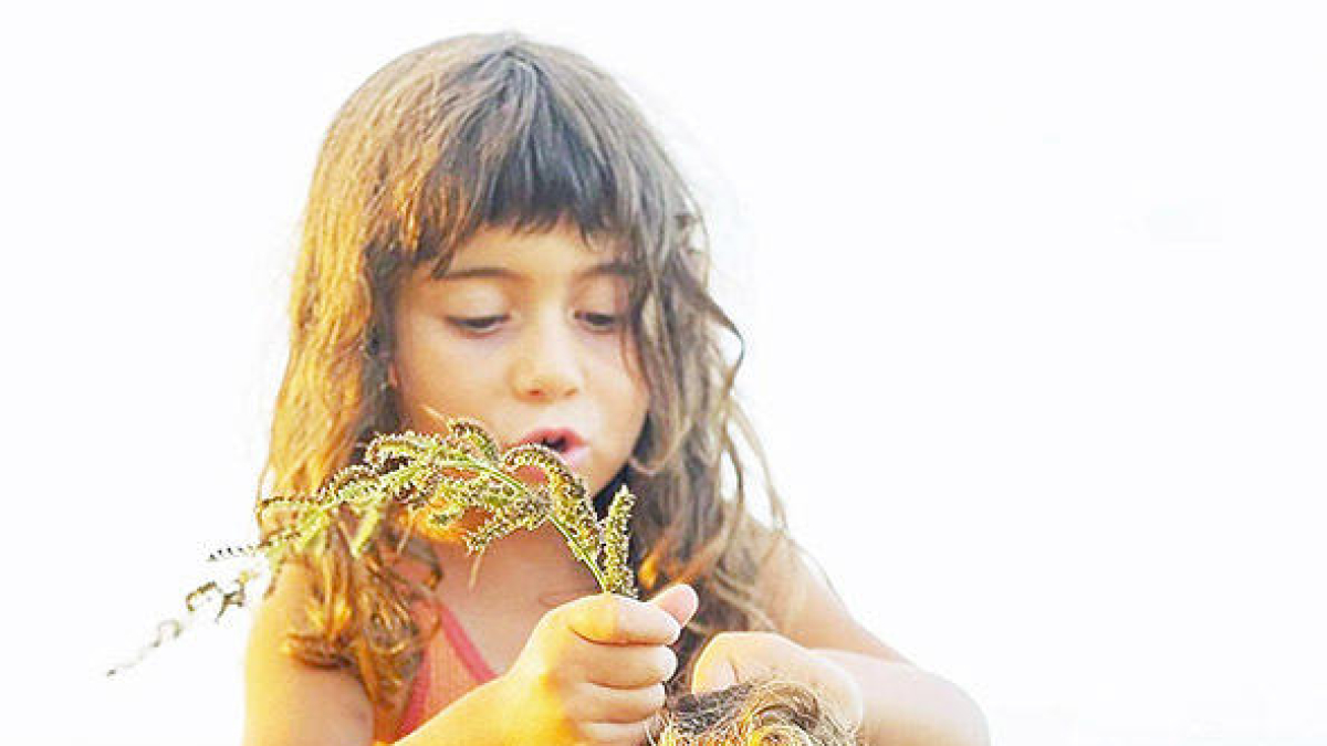 Un estiu per emmarcar