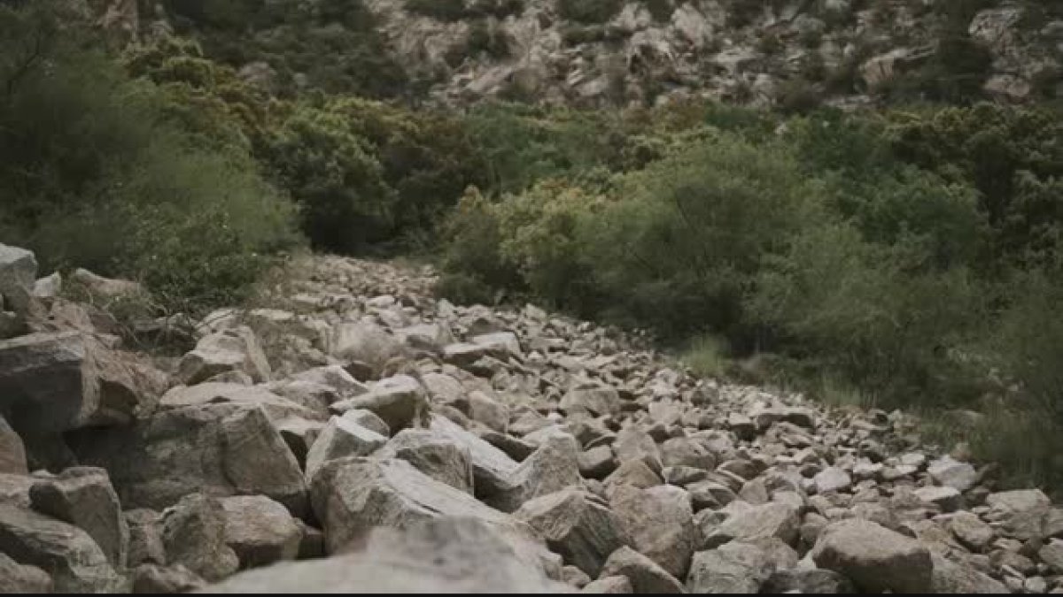 Presentació projecte Moments