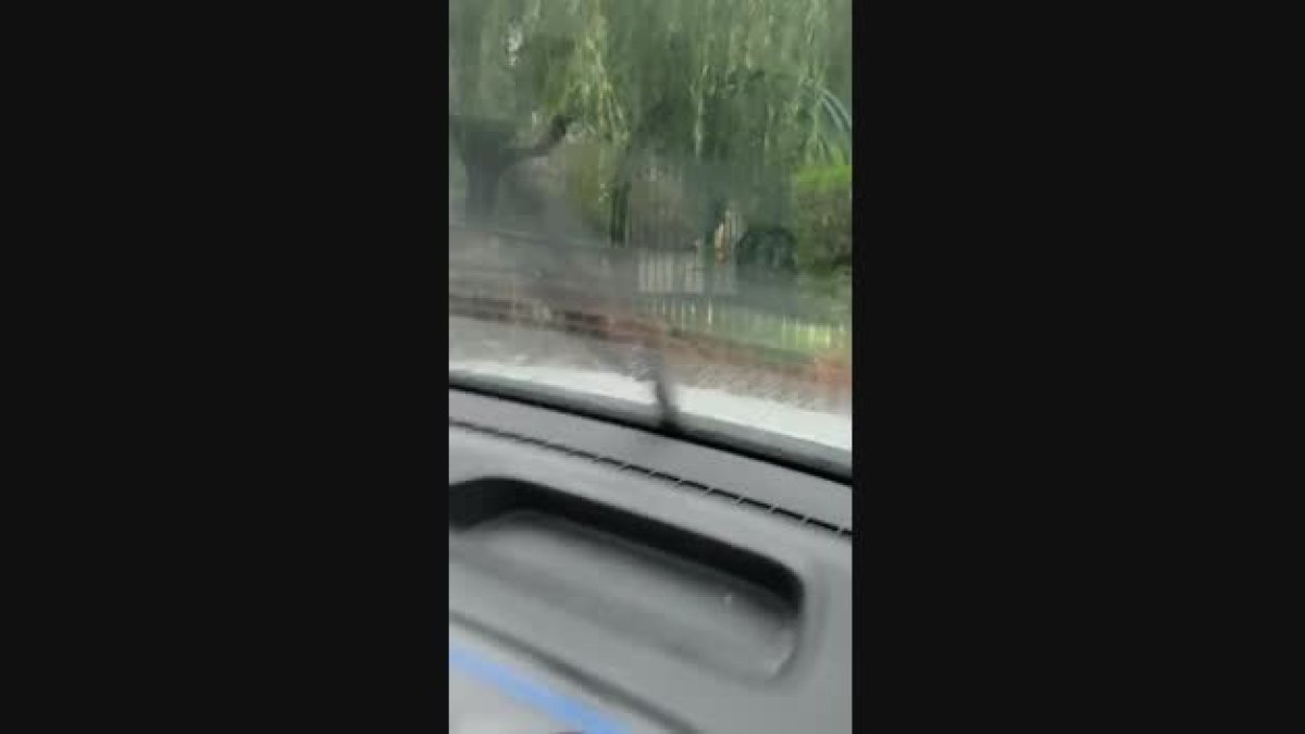 Les inundacions d'aquesta tarda a Bixessarri