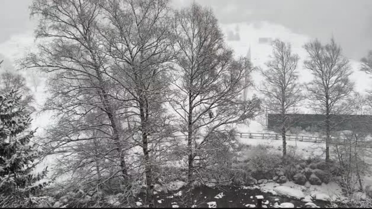 Neu a tot el Principat