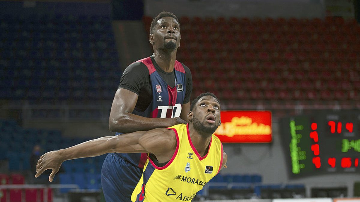 Fins que fall va aparèixer