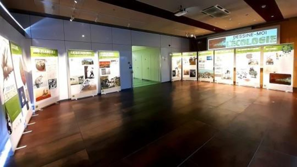 Dessine-moi l'écologie