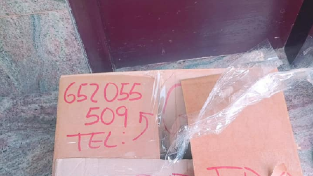 Un gos robat a la Seu és retornat a casa seva dins d'una caixa