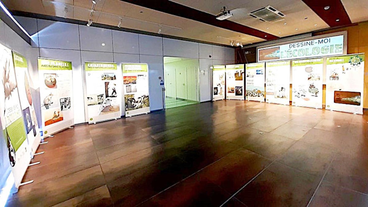 Dessine-moi l'écologie