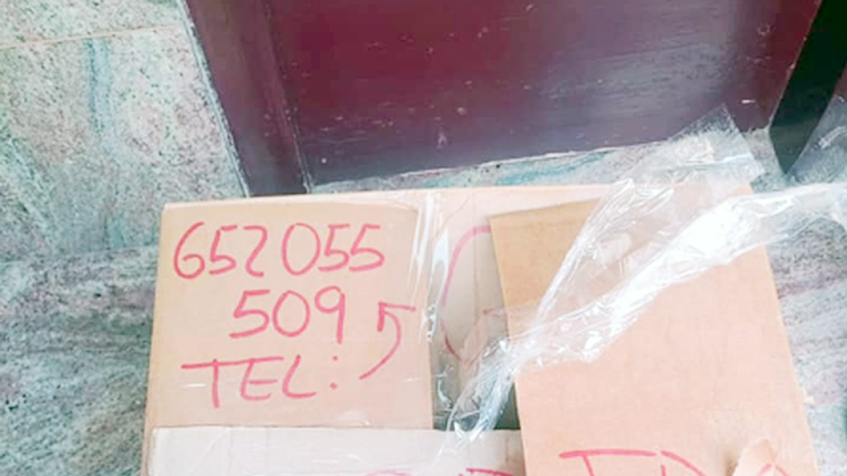 Un gos robat a La Seu és retornat a casa en una caixa
