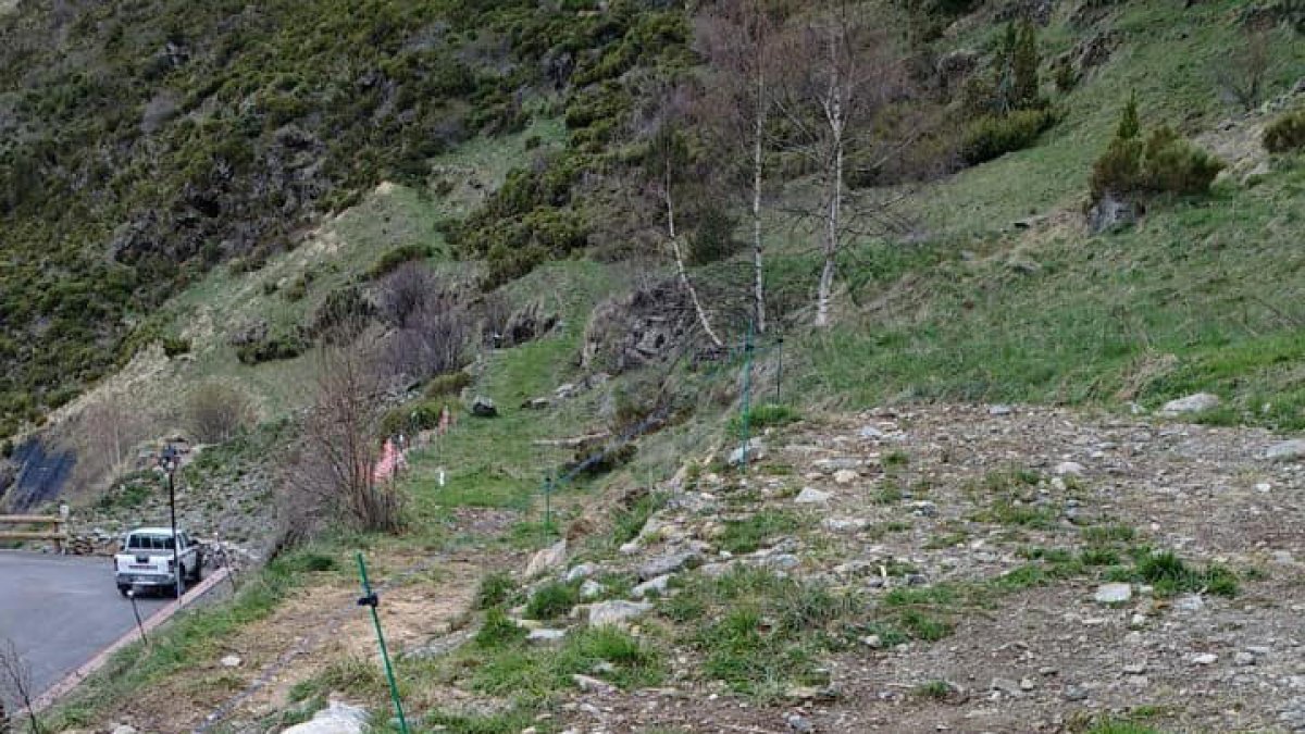 Camp defensa una ràpida actuació de neteja