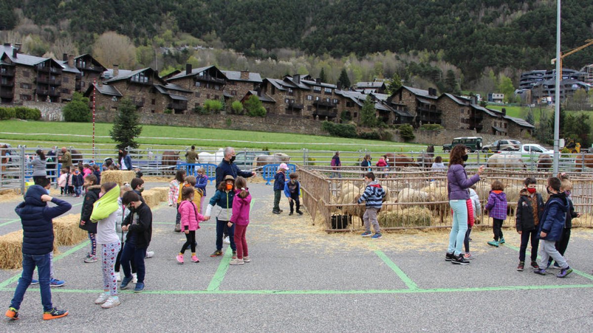 Uns 600 alumnes d'Ordino visiten la Fira del bestiar