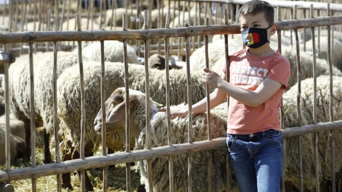 La llei òmnibus d'agricultura, per al setembre