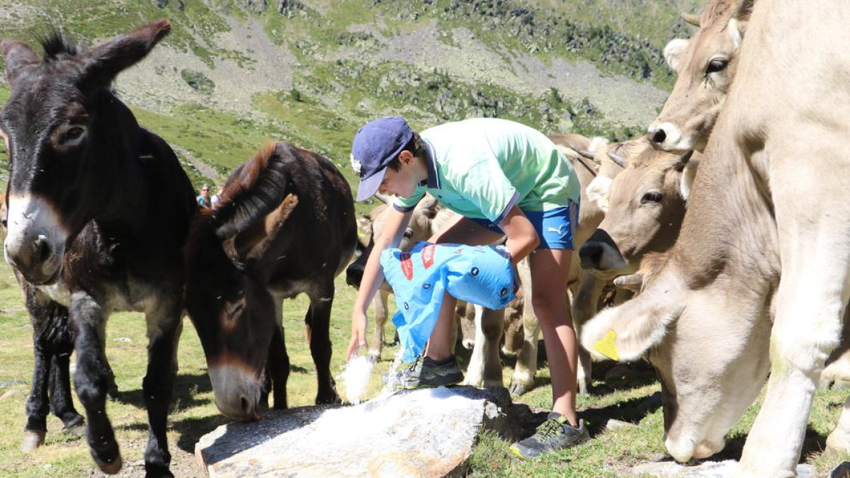 Els visitants al parc de Sorteny van créixer fins als 25.482 a l'estiu
