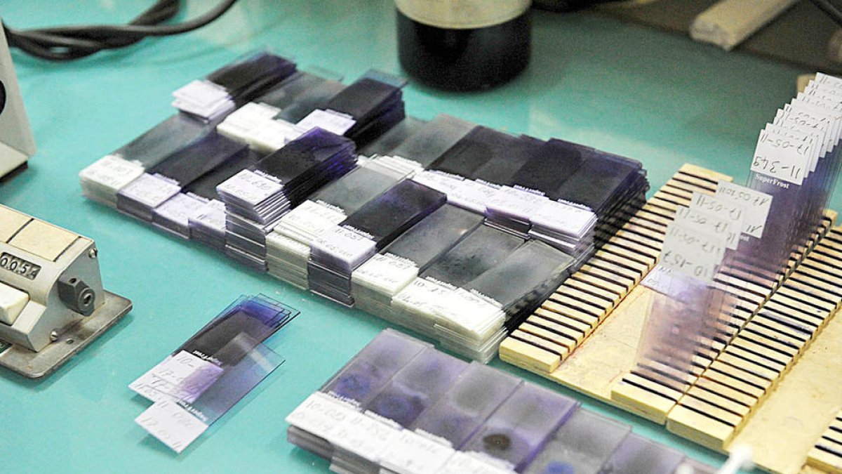 Més enllà del coronavirus