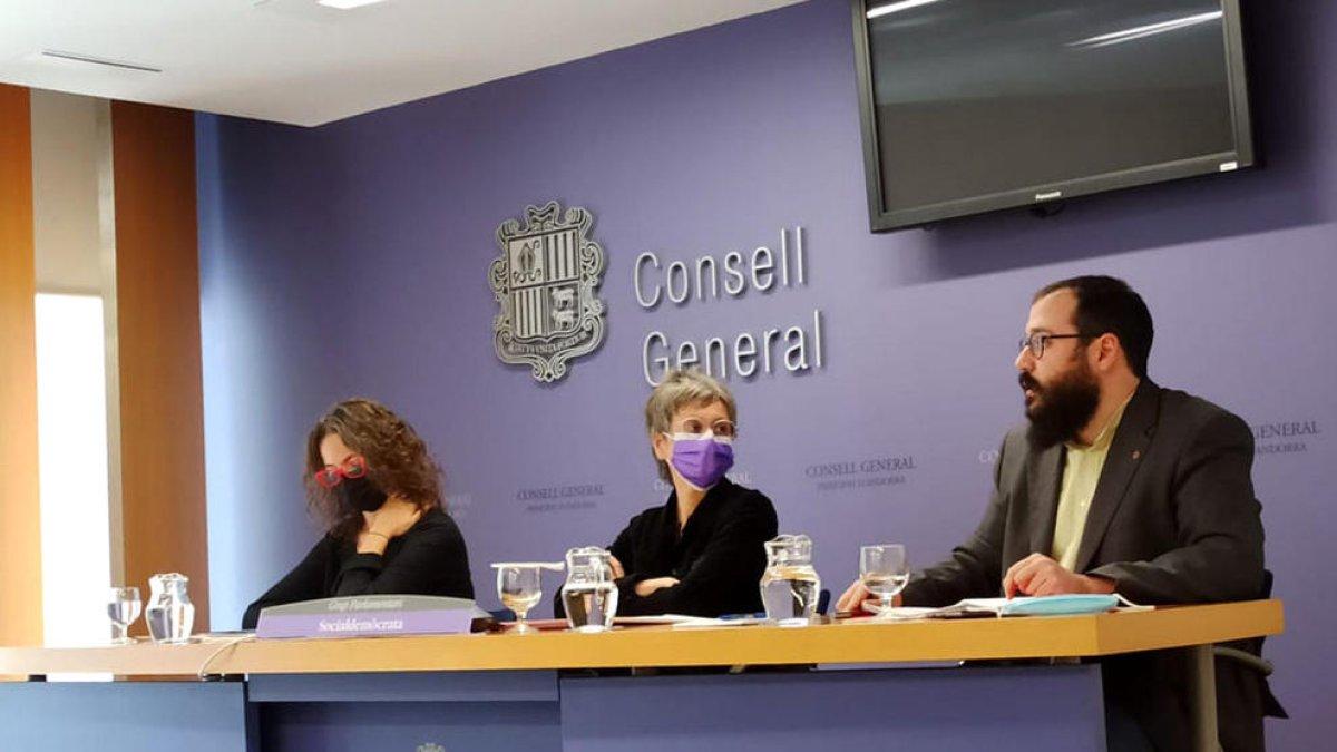 El PS clama pel biax “polític” d'Alberca   en l'informe del recurs amb terceravia