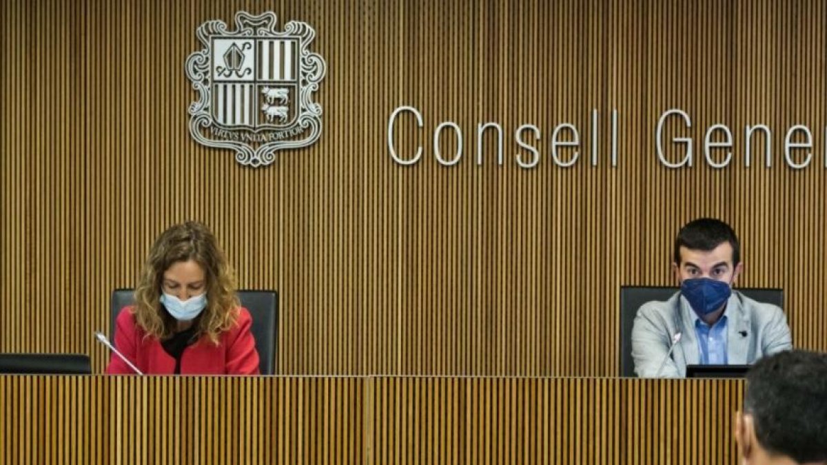 Sílvia Calvó, durant la compareixença d'aquesta tarda al Consell General.