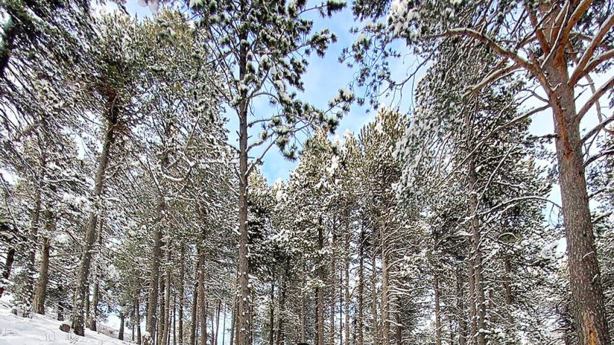 Viñales seguirà vinculat a Andorra tot i deixar el país