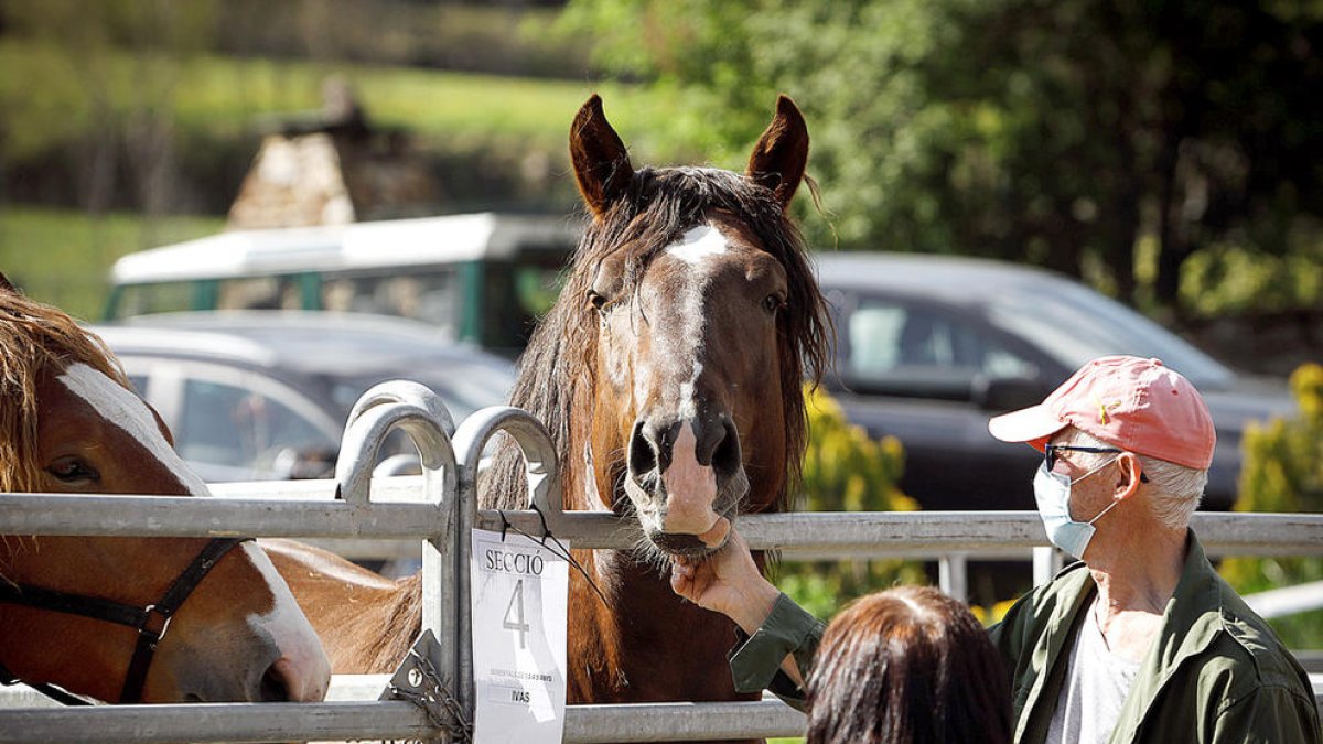 Ajuts per al benestar animal a les explotacions