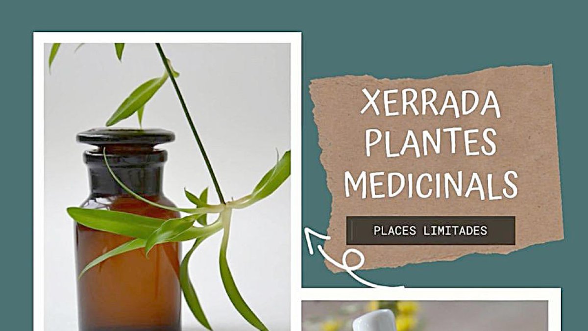 Xerrada sobre plantes medicinals