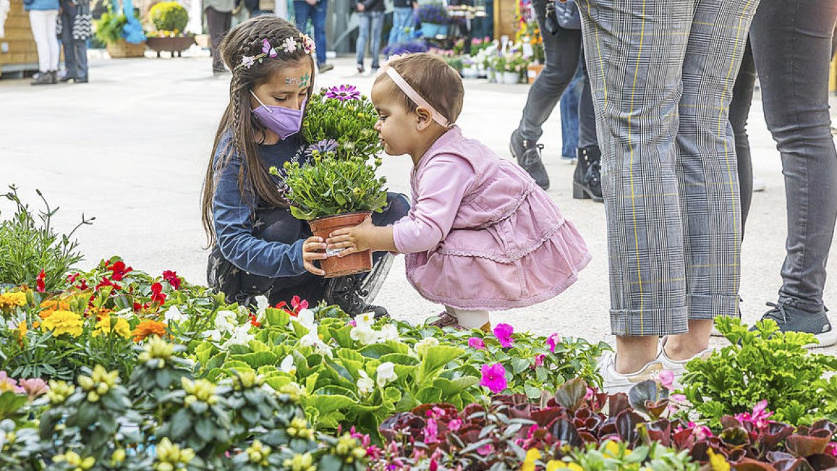 La festa de les flors