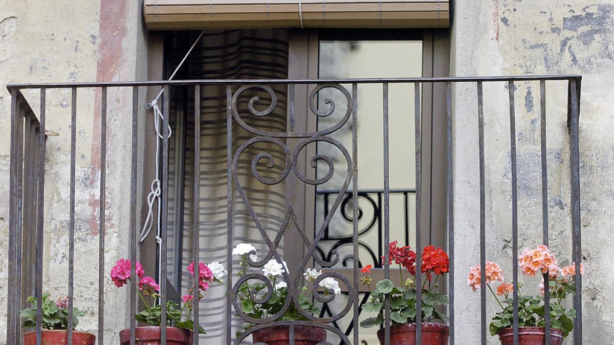 La florida de la jardineria