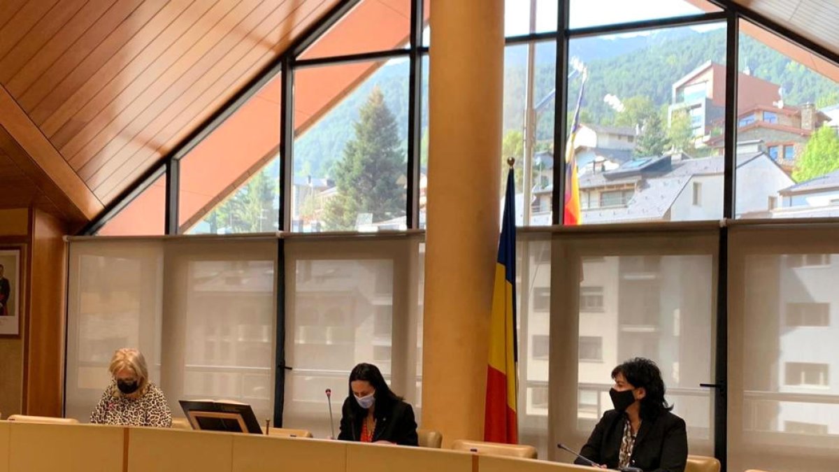 El comú aporta tres milions a Pal Arinsal per cobrir el forat de la pandèmia