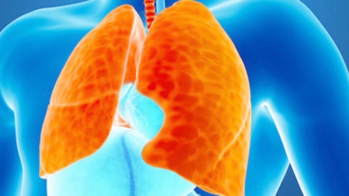 Detectat un sol cas de tuberculosi l'any passat